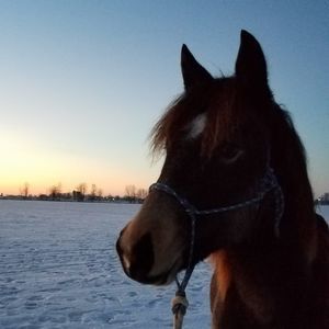 Meet your Posher, Dana